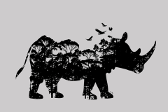 ajungle-trip-Rhino