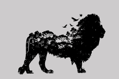 ajungle-trip-lion