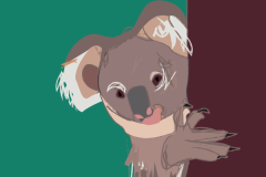 koala_20X20