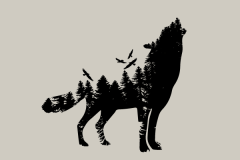 loup-_foret